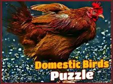 Domestic Birds Puzzle Game: Fun and Engaging Puzzle Challenge